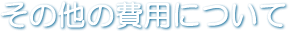 その他の費用について